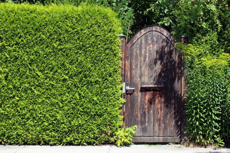 Trennwand im Garten Verschiedene Möglichkeiten und Stile Lola bloggt